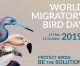 World Migratory Bird Day 2019 <br> 11 May 2019