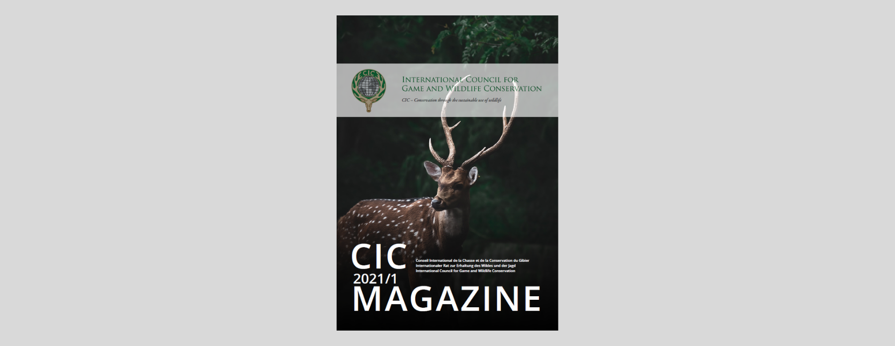 CIC Digital Magazine <br> 2 August 2021